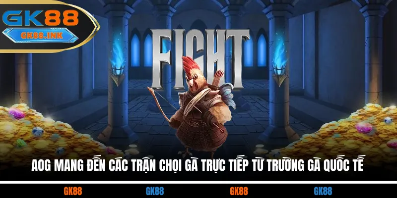 AOG mang đến các trận chọi gà trực tiếp từ trường gà quốc tế