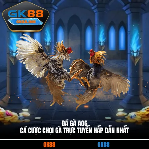 Đá gà AOG