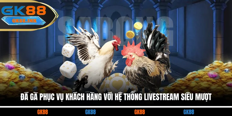 Đá gà phục vụ khách hàng với hệ thống livestream siêu mượt 