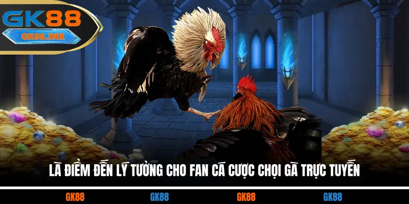 Là điểm đến lý tưởng cho fan cá cược chọi gà trực tuyến