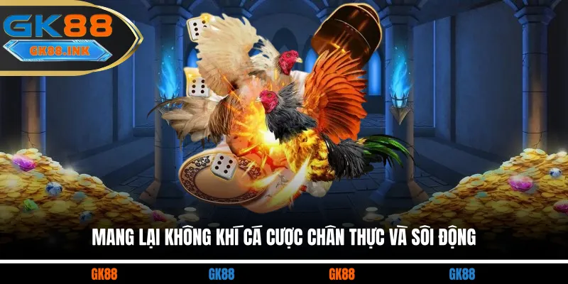 Mang lại không khí cá cược chân thực và sôi động