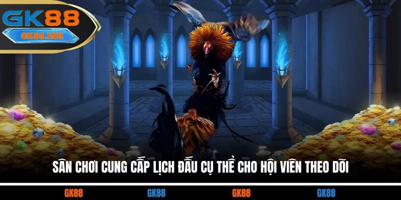 Sân chơi cung cấp lịch đấu cụ thể cho hội viên theo dõi 