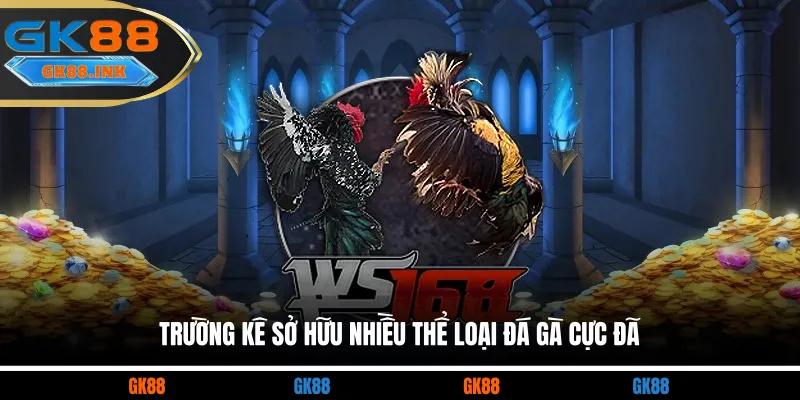 Trường kê sở hữu nhiều thể loại đá gà cực đã 